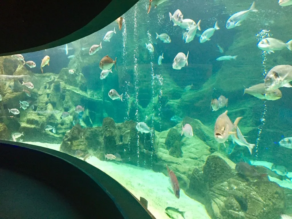 aquarium kreta